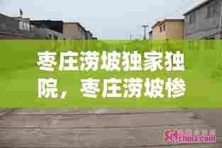 枣庄涝坡独家独院,枣庄涝坡惨案