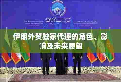 伊朗外贸独家代理的角色、影响及未来展望