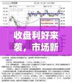 收盘利好来袭，市场新动力引发投资者策略大调整