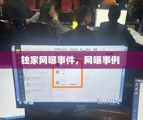 独家网曝事件，网曝事例 