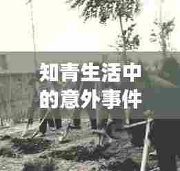 知青生活中的意外事件，揭秘突发事件背后的故事