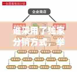 谁采用了独家分销方式，举例说明采用独家分销的产品 
