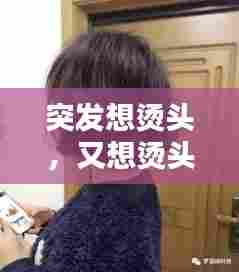 突发想烫头，又想烫头发又想染头发怎么办 