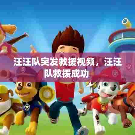 汪汪队突发救援视频,汪汪队救援成功