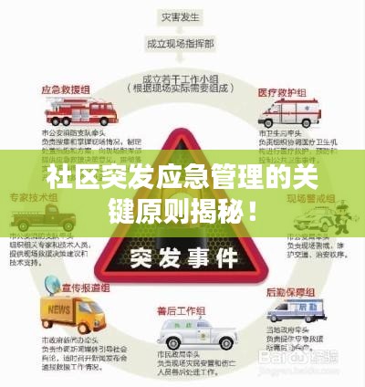 越鸟南栖 第6页