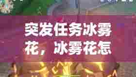突发任务冰雾花,冰雾花怎么获得