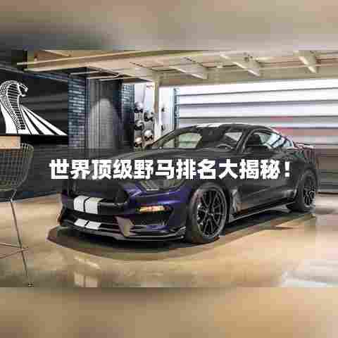 世界顶级野马排名大揭秘！