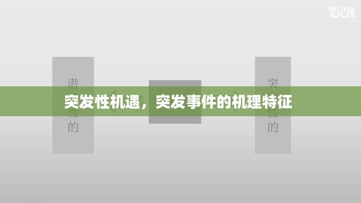 突发性机遇，突发事件的机理特征 