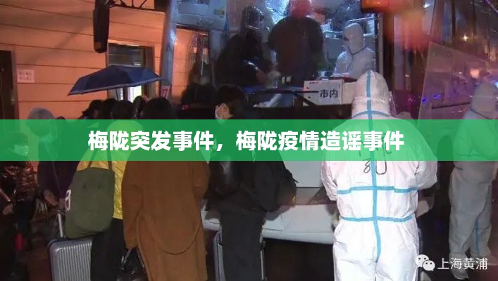 梅陇突发事件，梅陇疫情造谣事件 