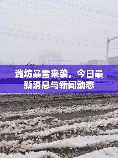 潍坊暴雪来袭,今日最新消息与新闻动态