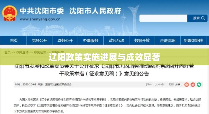 辽阳政策实施进展与成效显著