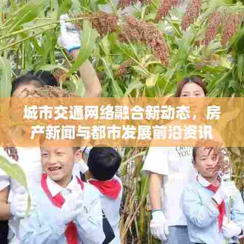 城市交通网络融合新动态，房产新闻与都市发展前沿资讯