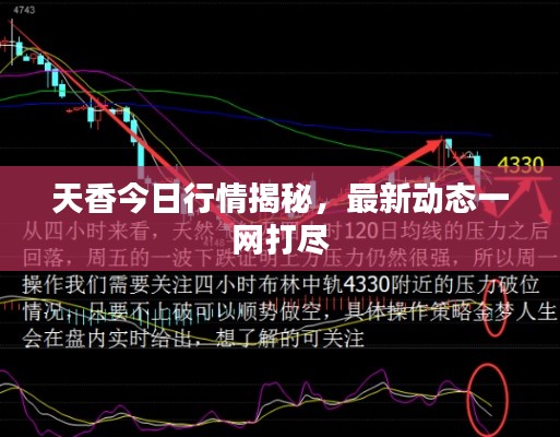 天香今日行情揭秘，最新动态一网打尽