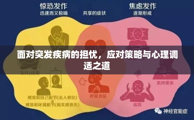 面对突发疾病的担忧,应对策略与心理调适之道