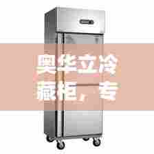 奥华立冷藏柜，专业存储解决方案，百度权威资料一次掌握