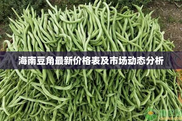 海南豆角最新价格表及市场动态分析