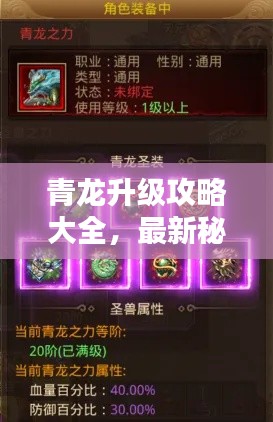 青龙升级攻略大全,最新秘籍,助你轻松飞升!