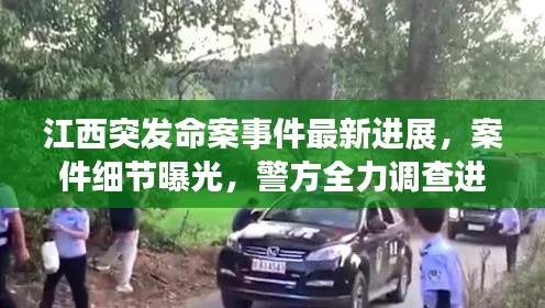 江西突发命案事件最新进展,案件细节曝光,警方全力调查进展迅速