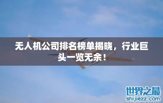 无人机公司排名榜单揭晓,行业巨头一览无余!