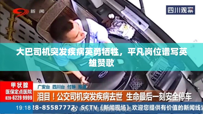 大巴司机突发疾病英勇牺牲,平凡岗位谱写英雄赞歌