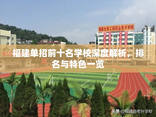 福建单招前十名学校深度解析,排名与特色一览