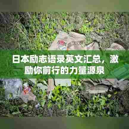日本励志语录英文汇总,激励你前行的力量源泉