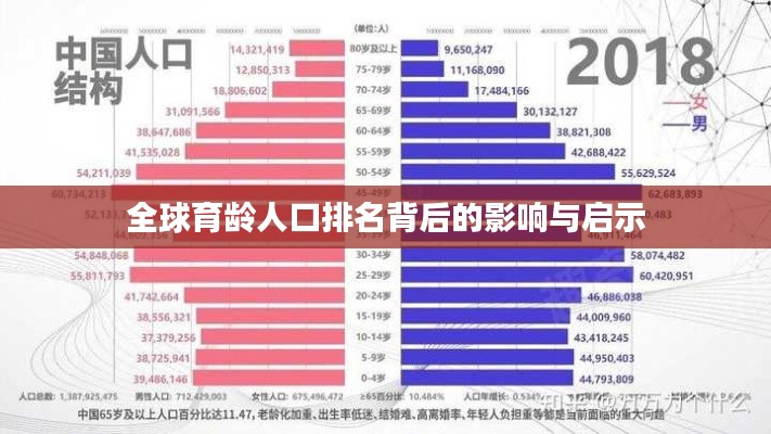 全球育龄人口排名背后的影响与启示