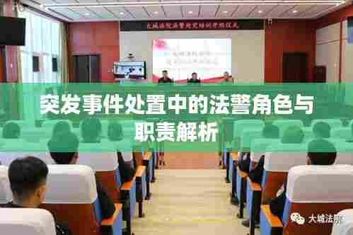 突发事件处置中的法警角色与职责解析