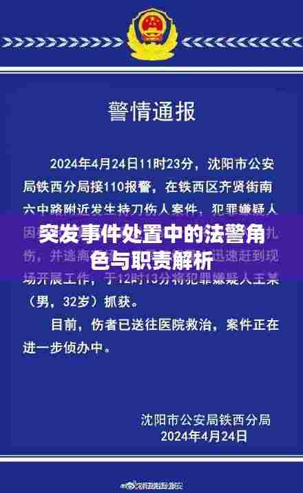 突发事件处置中的法警角色与职责解析