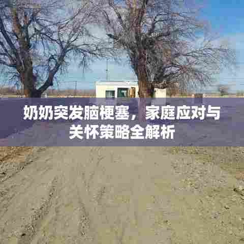 奶奶突发脑梗塞,家庭应对与关怀策略全解析