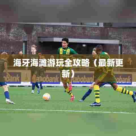 海牙海滩游玩全攻略(最新更新)