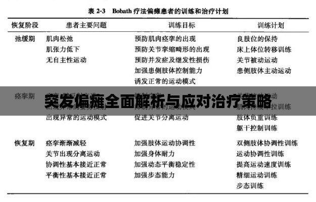 突发偏瘫全面解析与应对治疗策略