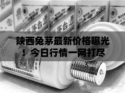 陕西兔茅最新价格曝光!今日行情一网打尽