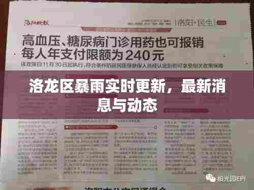 洛龙区暴雨实时更新，最新消息与动态