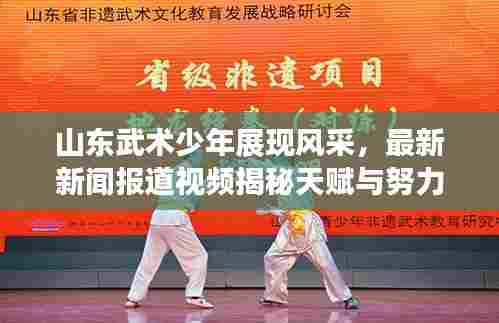 山东武术少年展现风采，最新新闻报道视频揭秘天赋与努力