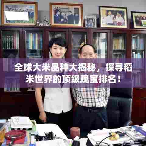 全球大米品种大揭秘,探寻稻米世界的顶级瑰宝排名!