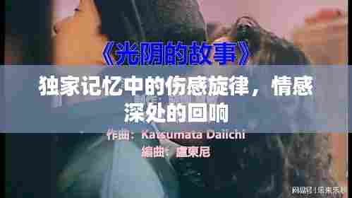 独家记忆中的伤感旋律，情感深处的回响