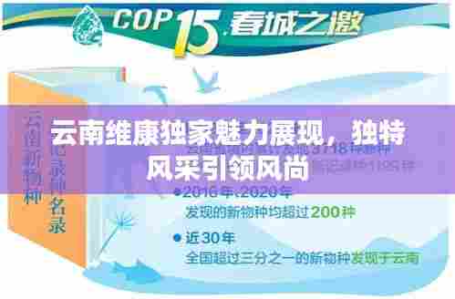 云南维康独家魅力展现，独特风采引领风尚