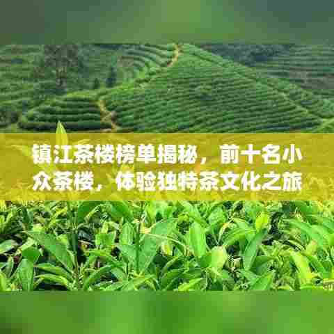 镇江茶楼榜单揭秘,前十名小众茶楼,体验独特茶文化之旅