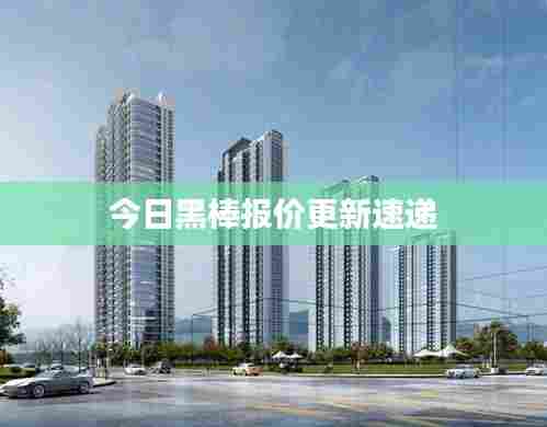 今日黑棒报价更新速递