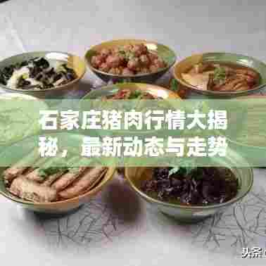 石家庄猪肉行情大揭秘，最新动态与走势分析！