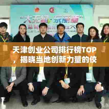 天津创业公司排行榜TOP,揭晓当地创新力量的佼佼者