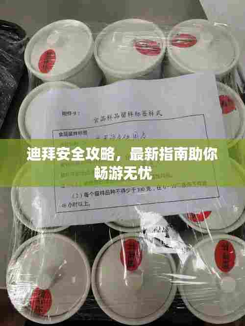 迪拜安全攻略，最新指南助你畅游无忧