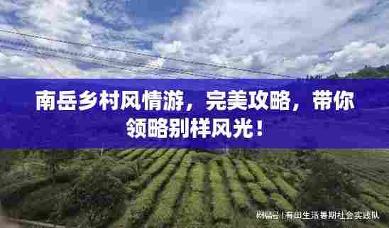南岳乡村风情游，完美攻略，带你领略别样风光！