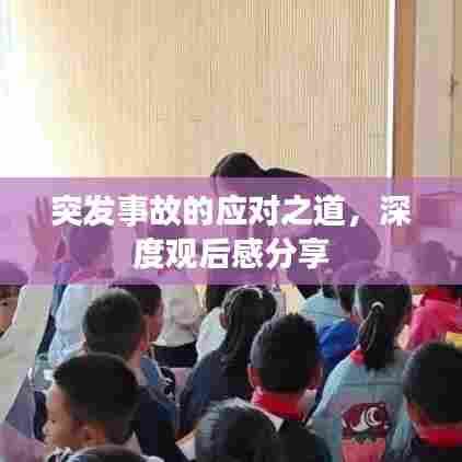 突发事故的应对之道,深度观后感分享