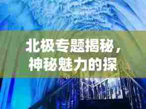 北极专题揭秘,神秘魅力的探索与未来挑战