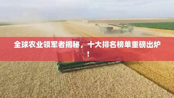 全球农业领军者揭秘，十大排名榜单重磅出炉！