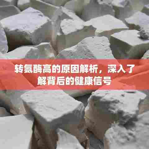 转氨酶高的原因解析，深入了解背后的健康信号