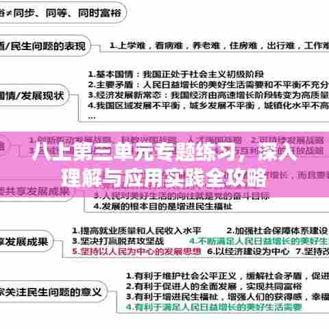 八上第三单元专题练习,深入理解与应用实践全攻略