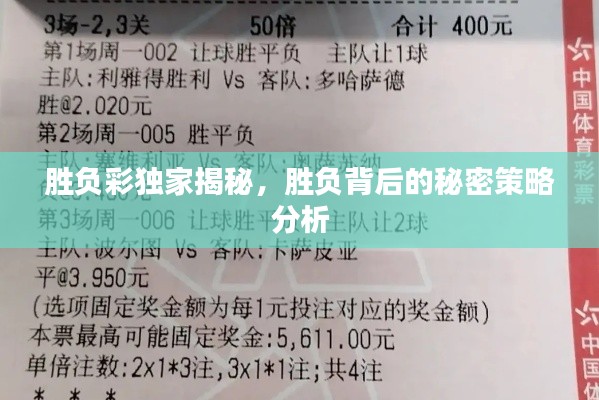 胜负彩独家揭秘，胜负背后的秘密策略分析
